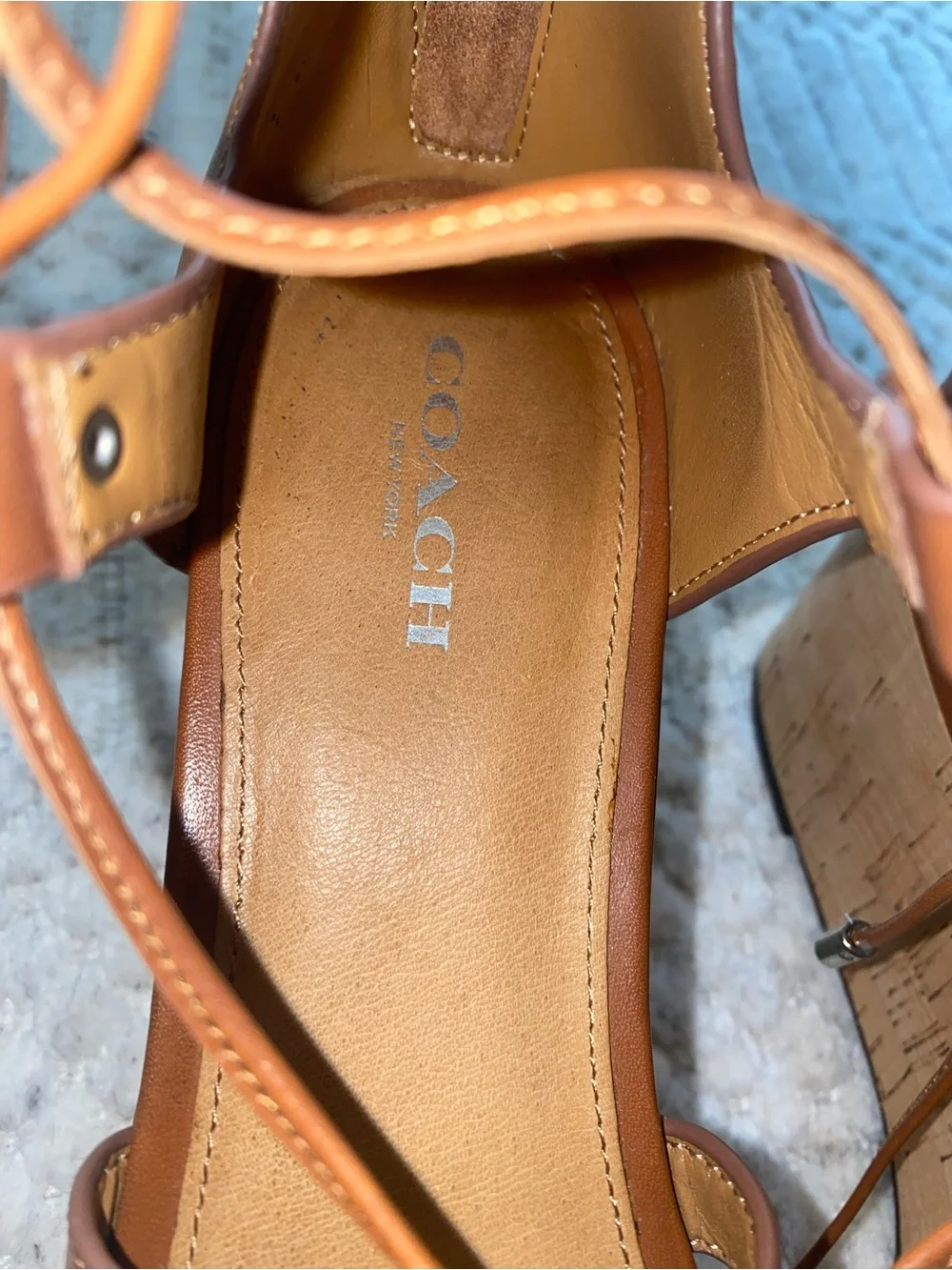 COACH Barkley Semi Matte Calf Lace-Up Wedge Sandal